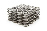 Valve Spring - 1300 Series