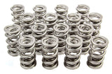 Valve Spring - 1300 Series