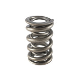 Valve Spring - 1300 Series