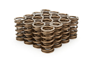 Valve Spring - 1300 Series