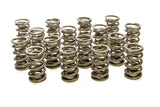 Valve Spring - 1300 Series