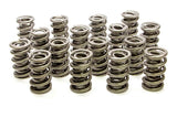 Valve Spring - 1300 Series