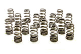 Valve Spring - RPM Series