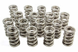 Valve Spring - 1500 Series