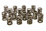 Valve Spring - Hot Rod Series