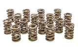 Valve Spring - Hot Rod Series