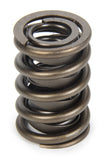 Valve Spring - Hot Rod Series