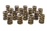 Valve Spring - Hot Rod Series