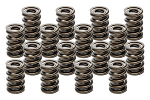 Valve Spring - Hot Rod Series