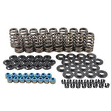 Valve Spring Kit