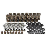 Valve Spring Kit