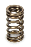 Valve Spring - Single Spring