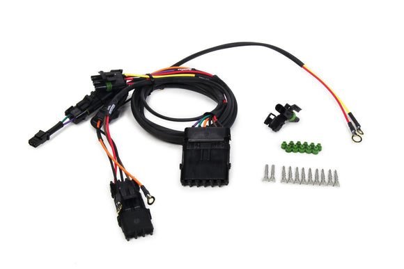 Ignition Wiring Harness