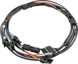 Ignition Wiring Harness