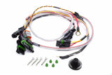 Ignition Wiring Harness