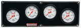 Gauge Panel Assembly