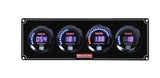 Gauge Panel Assembly