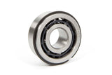 Gear Cover Bearing